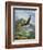 Eagle Gliding-unknown Caroselli-Framed Art Print