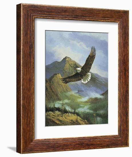 Eagle Gliding-unknown Caroselli-Framed Art Print