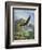 Eagle Gliding-unknown Caroselli-Framed Art Print