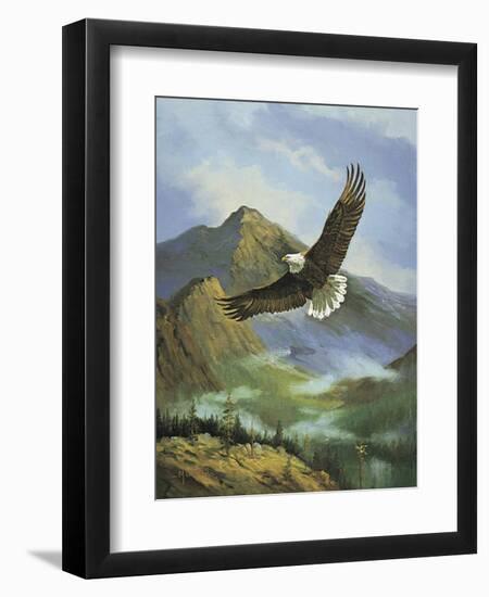 Eagle Gliding-unknown Caroselli-Framed Art Print