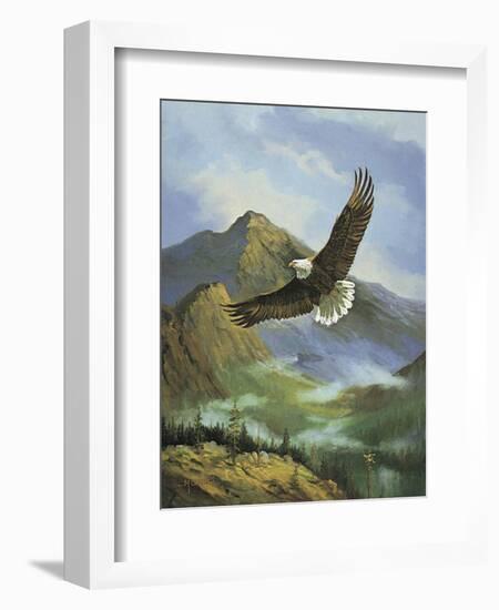 Eagle Gliding-unknown Caroselli-Framed Art Print