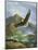 Eagle Gliding-unknown Caroselli-Mounted Art Print