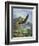 Eagle Gliding-unknown Caroselli-Framed Art Print