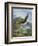 Eagle Gliding-unknown Caroselli-Framed Art Print