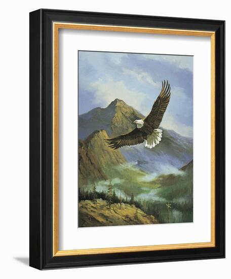 Eagle Gliding-unknown Caroselli-Framed Art Print