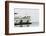 Eagle Harbor, Ferry Arrives Bainbridge from Seattle-Trish Drury-Framed Photographic Print