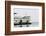 Eagle Harbor, Ferry Arrives Bainbridge from Seattle-Trish Drury-Framed Photographic Print