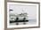 Eagle Harbor, Ferry Arrives Bainbridge from Seattle-Trish Drury-Framed Photographic Print