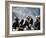 Eagle Hunters at the Golden Eagle Festival, Mongolia-Amos Nachoum-Framed Photographic Print