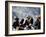 Eagle Hunters at the Golden Eagle Festival, Mongolia-Amos Nachoum-Framed Photographic Print