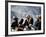 Eagle Hunters at the Golden Eagle Festival, Mongolia-Amos Nachoum-Framed Photographic Print