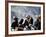 Eagle Hunters at the Golden Eagle Festival, Mongolia-Amos Nachoum-Framed Photographic Print