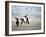 Eagle Hunters Dalai Khan, Takhuu Grandfather, Son Kook Kook, Golden Eagle Festival, Mongolia-Amos Nachoum-Framed Photographic Print