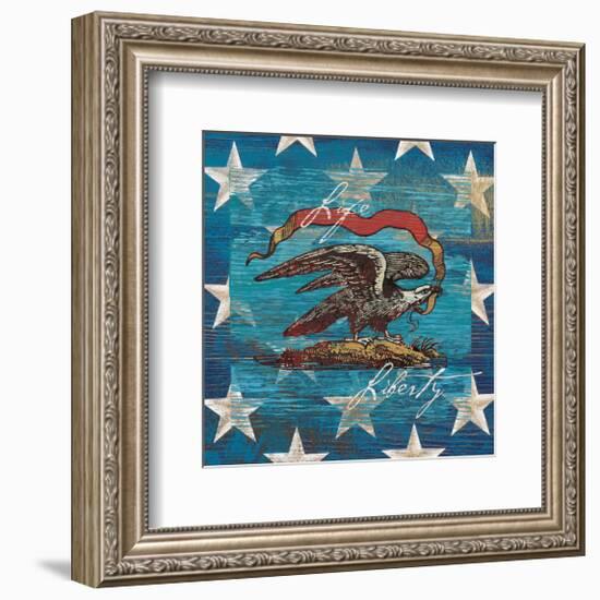 Eagle I Stars-Alan Hopfensperger-Framed Premium Giclee Print