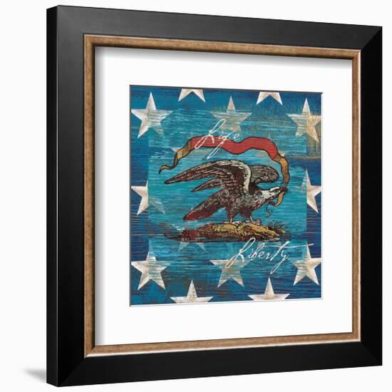 Eagle I Stars-Alan Hopfensperger-Framed Premium Giclee Print