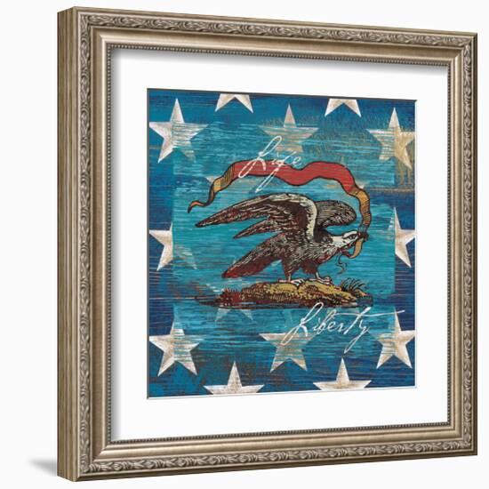 Eagle I Stars-Alan Hopfensperger-Framed Art Print