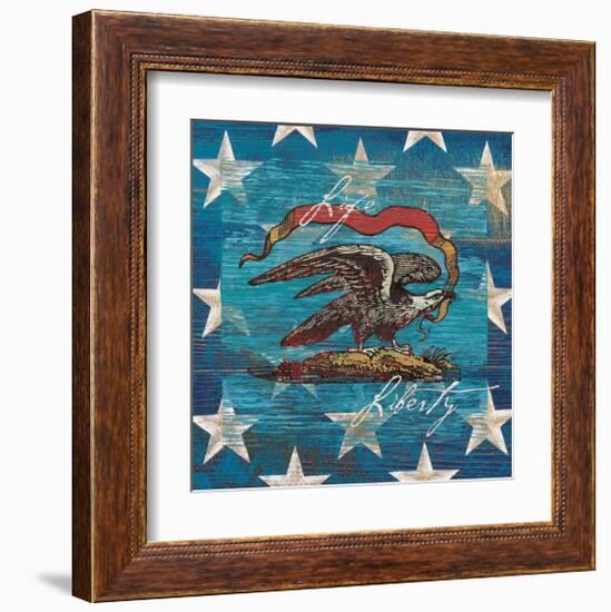 Eagle I Stars-Alan Hopfensperger-Framed Art Print