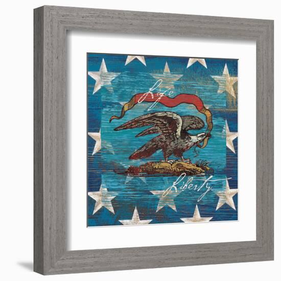 Eagle I Stars-Alan Hopfensperger-Framed Art Print