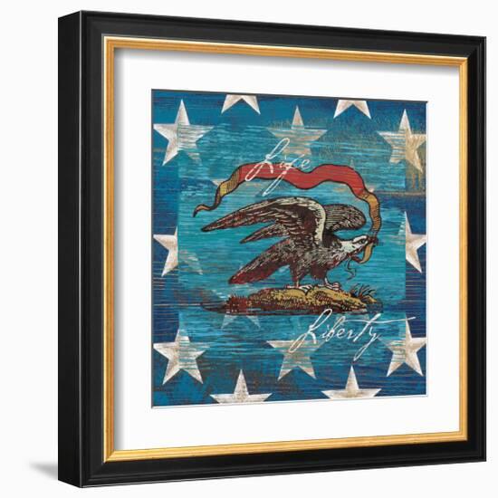 Eagle I Stars-Alan Hopfensperger-Framed Art Print