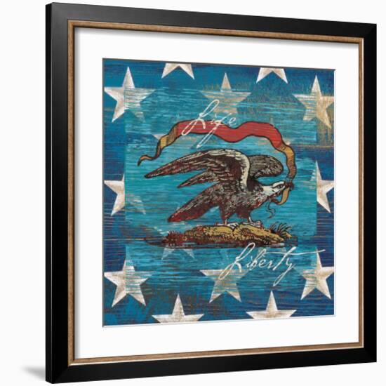 Eagle I Stars-Alan Hopfensperger-Framed Art Print