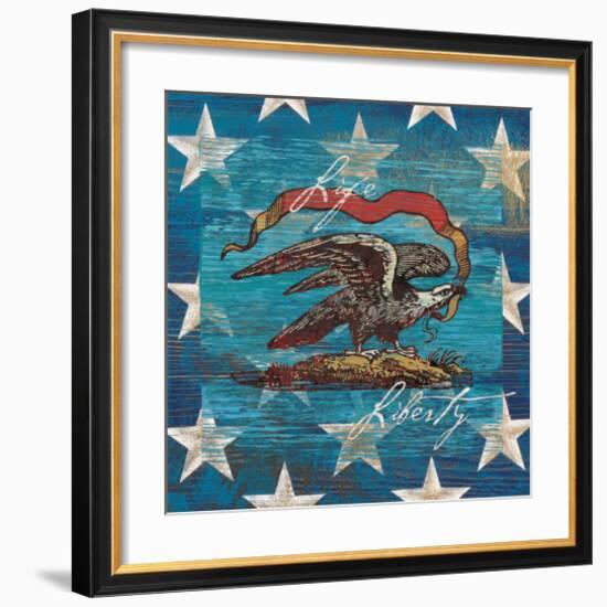 Eagle I Stars-Alan Hopfensperger-Framed Art Print