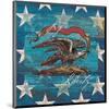 Eagle I Stars-Alan Hopfensperger-Mounted Art Print