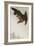 Eagle in Flight Against Snowy Sky-Koson Ohara-Framed Giclee Print