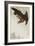 Eagle in Flight Against Snowy Sky-Koson Ohara-Framed Giclee Print