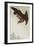 Eagle in Flight Against Snowy Sky-Koson Ohara-Framed Giclee Print