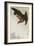 Eagle in Flight Against Snowy Sky-Koson Ohara-Framed Giclee Print