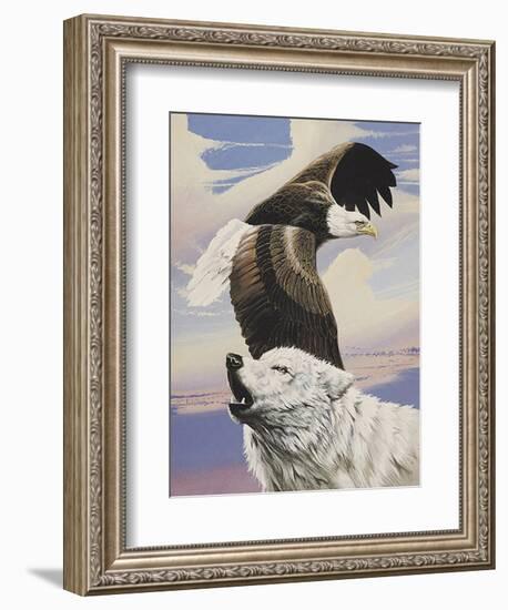 Eagle in Flight with Wolf-unknown Ampel-Framed Art Print