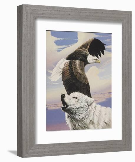 Eagle in Flight with Wolf-unknown Ampel-Framed Art Print