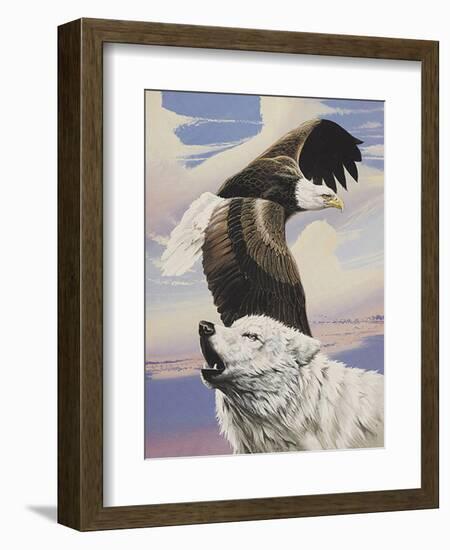 Eagle in Flight with Wolf-unknown Ampel-Framed Art Print