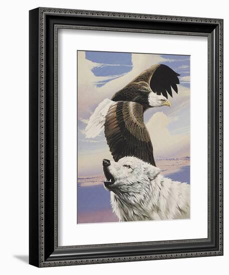 Eagle in Flight with Wolf-unknown Ampel-Framed Art Print