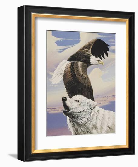 Eagle in Flight with Wolf-unknown Ampel-Framed Art Print