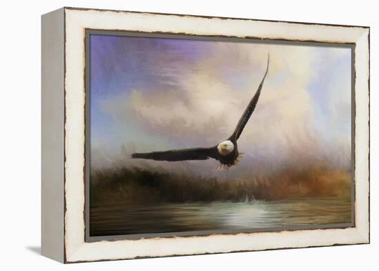 Eagle in the Marsh-Jai Johnson-Framed Premier Image Canvas