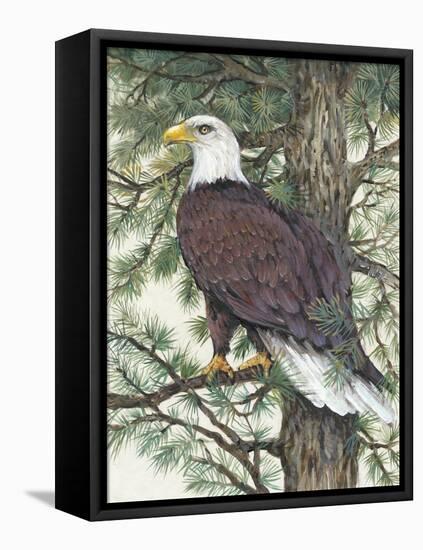 Eagle in the Pine-Tim OToole-Framed Stretched Canvas