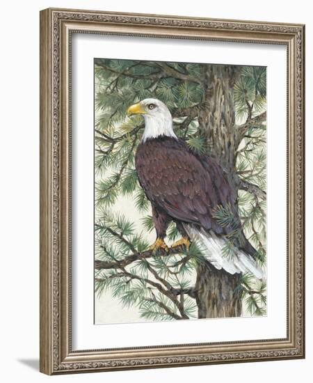 Eagle in the Pine-Tim OToole-Framed Art Print