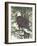 Eagle in the Pine-Tim OToole-Framed Art Print