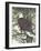 Eagle in the Pine-Tim OToole-Framed Art Print