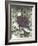 Eagle in the Pine-Tim OToole-Framed Art Print