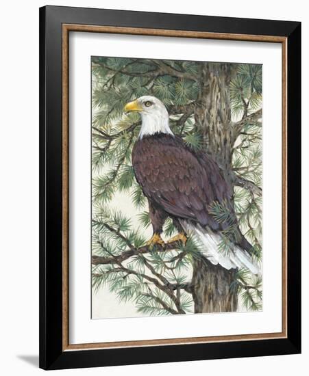 Eagle in the Pine-Tim OToole-Framed Art Print