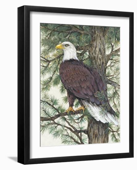 Eagle in the Pine-Tim OToole-Framed Art Print