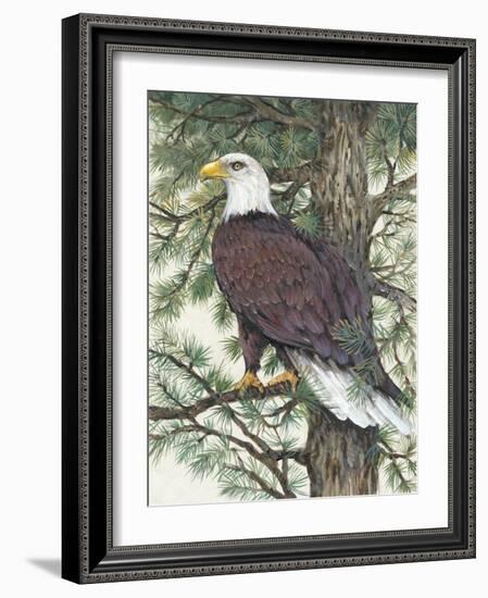 Eagle in the Pine-Tim OToole-Framed Art Print