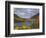 Eagle Lake, Acadia National Park, Mount Desert Island, Maine, New England, USA, North America-Alan Copson-Framed Photographic Print