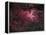 Eagle Nebula-Stocktrek Images-Framed Premier Image Canvas