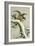 Eagle on Snowy Tree Bough-Koson Ohara-Framed Giclee Print