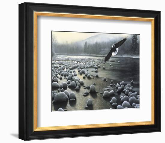 Eagle Over Water-Kevin Daniel-Framed Art Print