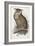 Eagle Owl, Bubo Maximus, 1832-1837-Edward Lear-Framed Giclee Print