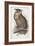 Eagle Owl, Bubo Maximus, 1832-1837-Edward Lear-Framed Giclee Print